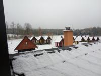 IMG_20231119_081534 (1024x768).jpg